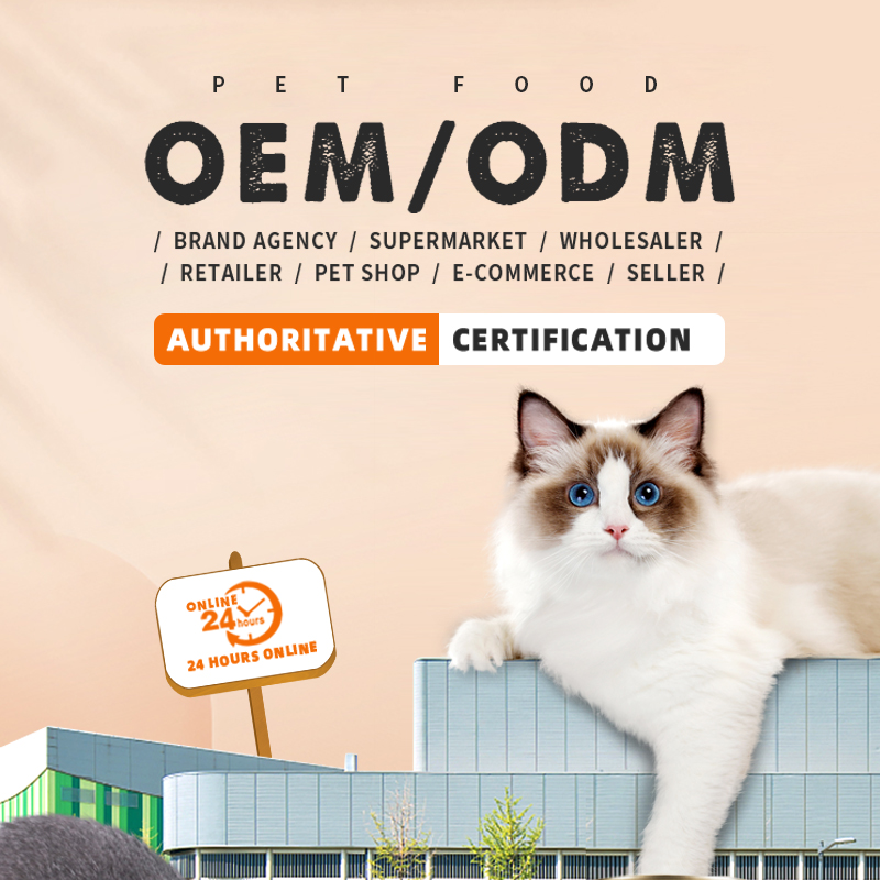 OEM Protected and Dependable Excessive-High quality Freeze-Dried Cat Treats and Snacks